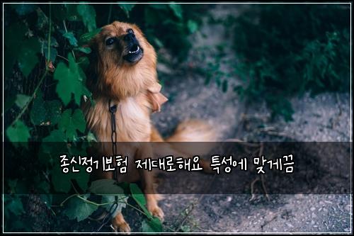 종신정기보험 제대로해요  특성에 맞게끔