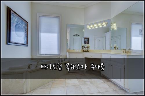 태아보험 꼭해보자  주내용