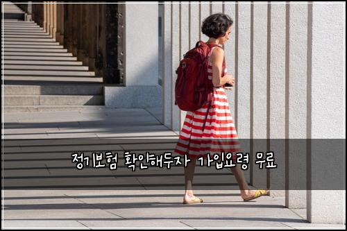 정기보험 확인해두자  가입요령 무료