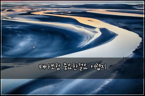 태아보험 중요한걸요  어렵지