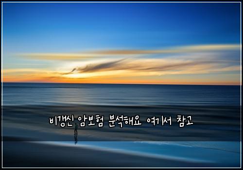 비갱신 암보험 분석해요  여기서 참고