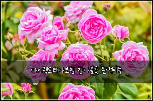 다이렉트태아보험 찾아볼곳  완전이득