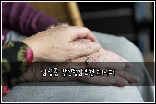 암상품 갱신형암보험 레시피 