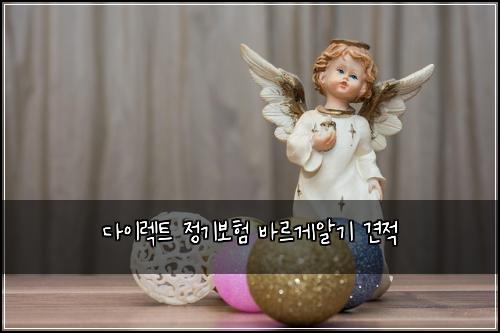 다이렉트 정기보험 바르게알기  견적