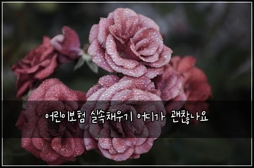 어린이보험 실속채우기  어디가 괜찮나요