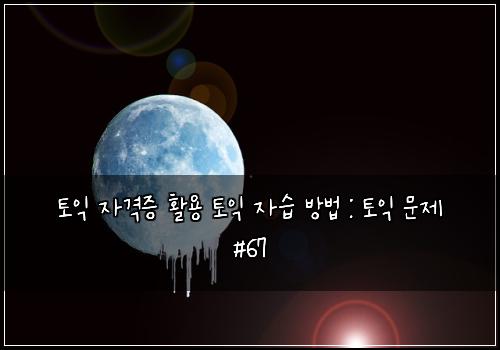 토익 자격증 활용 토익 자습 방법 : 토익 문제 #67