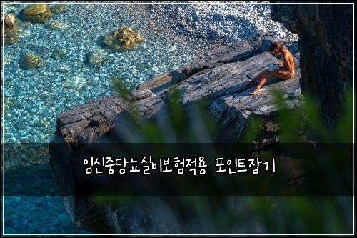 ์์ ์ค๋น๋จ์ค๋น๋ณดํ์ ์ฉ ํฌ์ธํธ์ก๊ธฐ