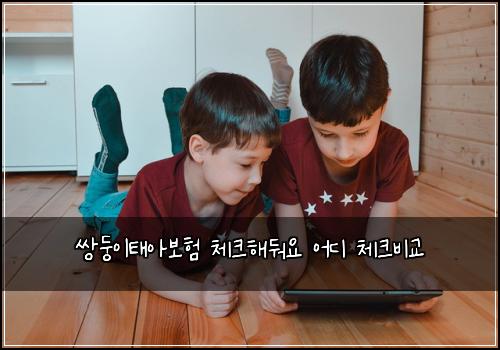 쌍둥이태아보험 체크해둬요  어디 체크비교