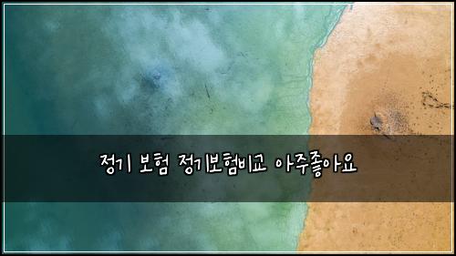 정기 보험 정기보험비교 아주좋아요