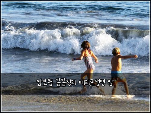 암보험 꼼꼼정리  메리츠생명 암