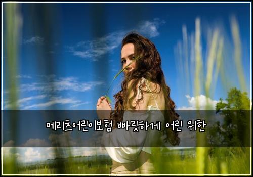메리츠어린이보험 빠릿하게  어린 위한