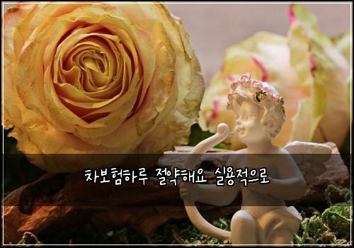 차보험하루 절약해요 실용적으로
