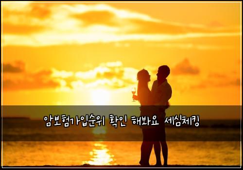 암보험가입순위 확인 해봐요 세심체킹