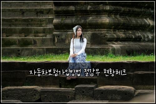 ์๋์ฐจ๋ณดํ๊ฐ์
๋ฐฉ๋ฒ ์ ๊ฐ๋ฌด ํํฉ์ฒดํฌ