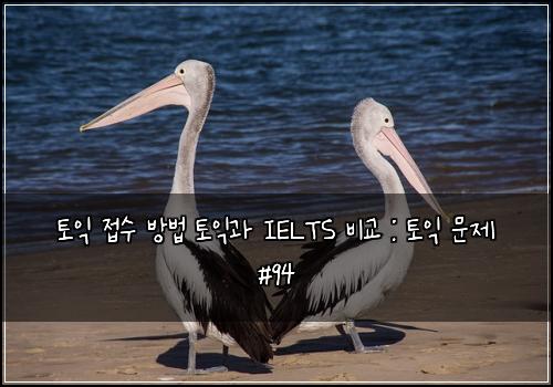 토익 접수 방법 토익과 IELTS 비교 : 토익 문제 #94