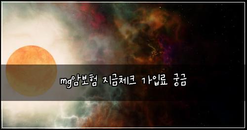 mg์๋ณดํ ์ง๊ธ์ฒดํฌ ๊ฐ์
๋ฃ ๊ถ๊ธ