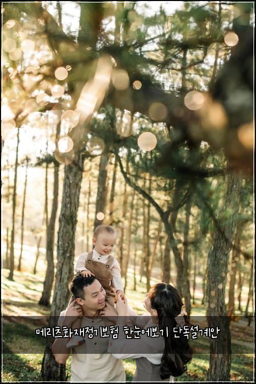 메리츠화재정기보험 한눈에보기  단독설계안