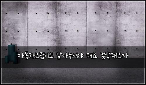 ์๋์ฐจ๋ณดํ๋น๊ต ์์๋์
์ผ ํด์ ์ ์ฝํด๋ณด์