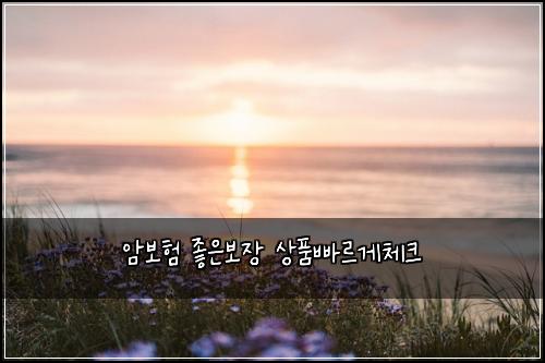 암보험 좋은보장  상품빠르게체크