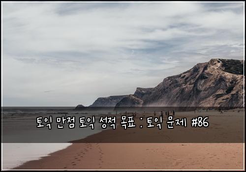 토익 만점 토익 성적 목표 : 토익 문제 #86