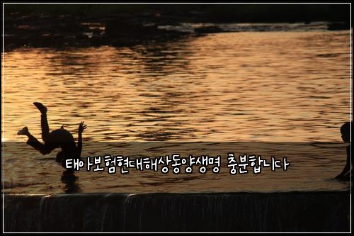 태아보험현대해상동양생명 충분합니다