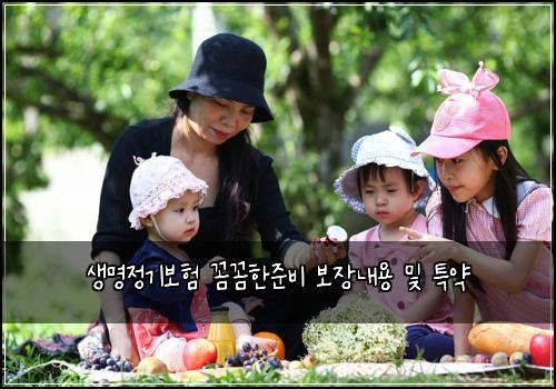 생명정기보험 꼼꼼한준비  보장내용 및 특약