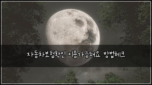 자동차보험확인 이용가능해요 방법체크