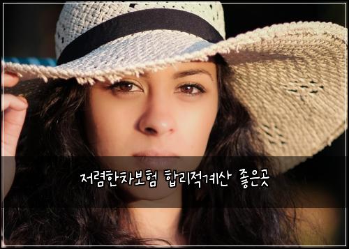 ์ ๋ ดํ์ฐจ๋ณดํ ํฉ๋ฆฌ์ ๊ณ์ฐ ์ข์๊ณณ