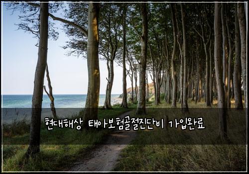 현대해상 태아보험골절진단비 가입완료