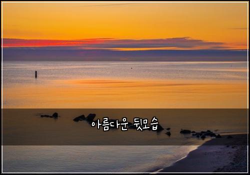 아름다운 뒷모습