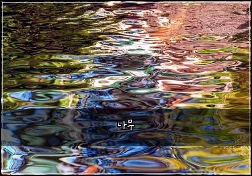 나무