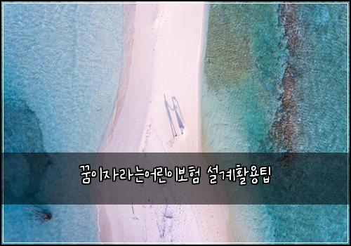 꿈이자라는어린이보험 설계활용팁 