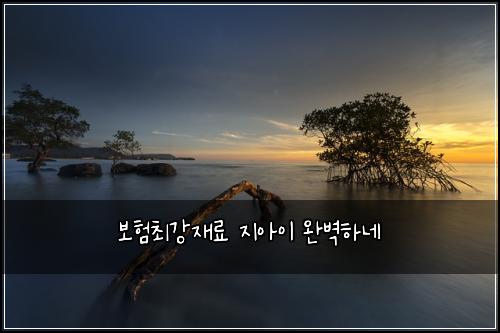 보험최강재료 지아이 완벽하네