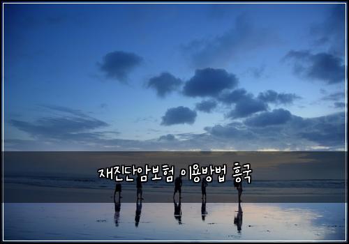 재진단암보험 이용방법  흥국