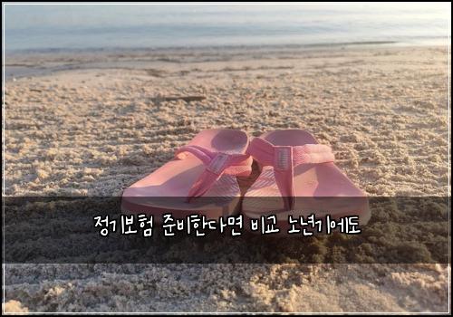 정기보험 준비한다면  비교 노년기에도
