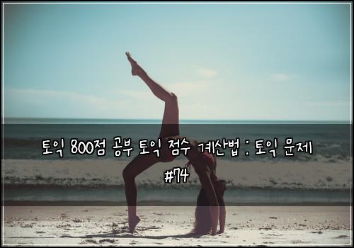 토익 800점 공부 토익 점수 계산법 : 토익 문제 #74