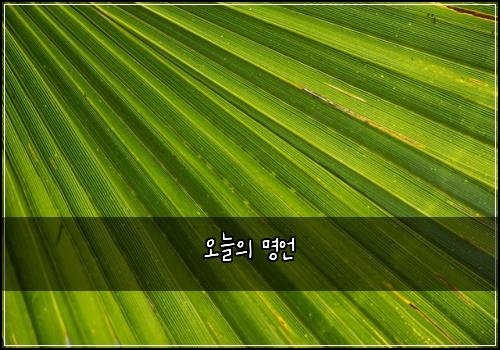 오늘의 명언