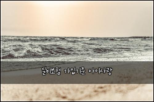 실비보험 가입기준  아이사랑