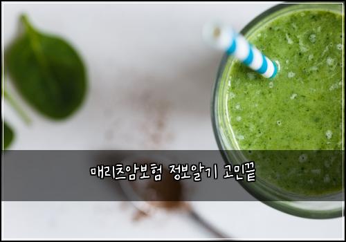 매리츠암보험 정보알기  고민끝