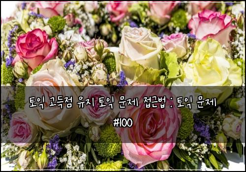 토익 고득점 유지 토익 문제 접근법 : 토익 문제 #100