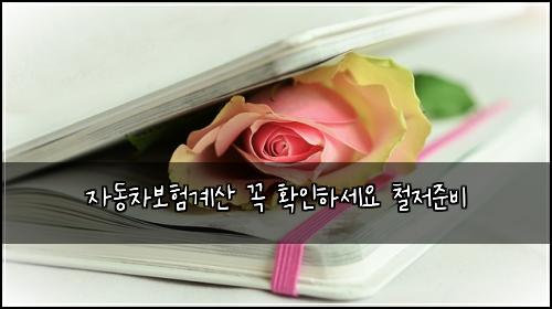 자동차보험계산 꼭 확인하세요 철저준비