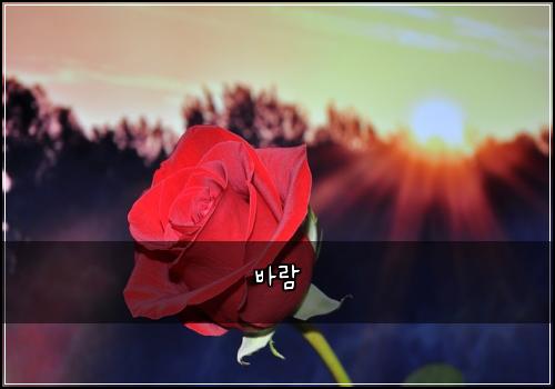 바람