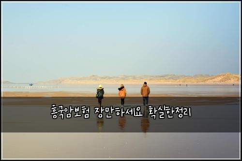 흥국암보험 장만하세요  확실한정리