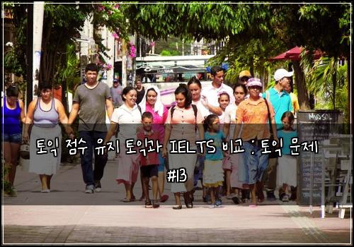 토익 점수 유지 토익과 IELTS 비교 : 토익 문제 #13