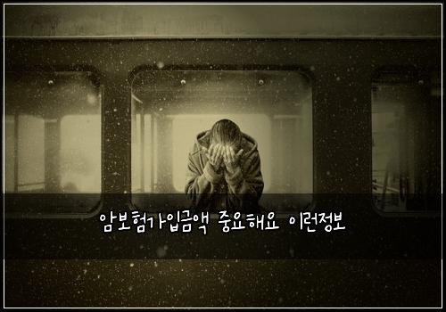암보험가입금액 중요해요 이런정보