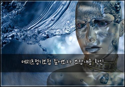 메리츠정기보험 짚어보자  보장내용 확인
