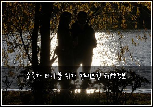 소중한 태아를 위한 현대보험 혜택정보 