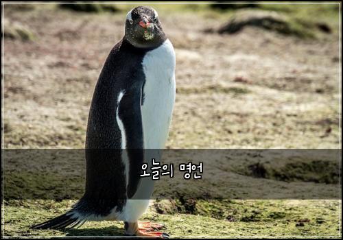 오늘의 명언