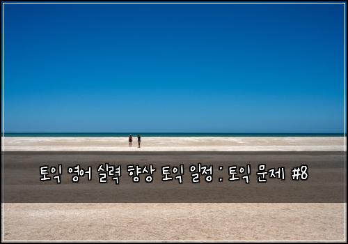 토익 영어 실력 향상 토익 일정 : 토익 문제 #8