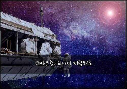 태아보험비교사이 저렴해요